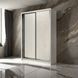 Шкаф-купе E-Line ШК 2.2 Ясен серфсайд 450x1500х2100 22214515 фото 2 Altek mebli
